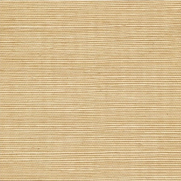 Sample WSS4509.WT.0 Sisal Wheat Solid Winfield Thybony Wallpaper