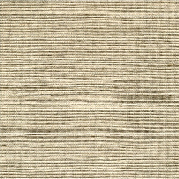 Sample WSS4511.WT.0 Sisal Flaxen Solid Winfield Thybony Wallpaper