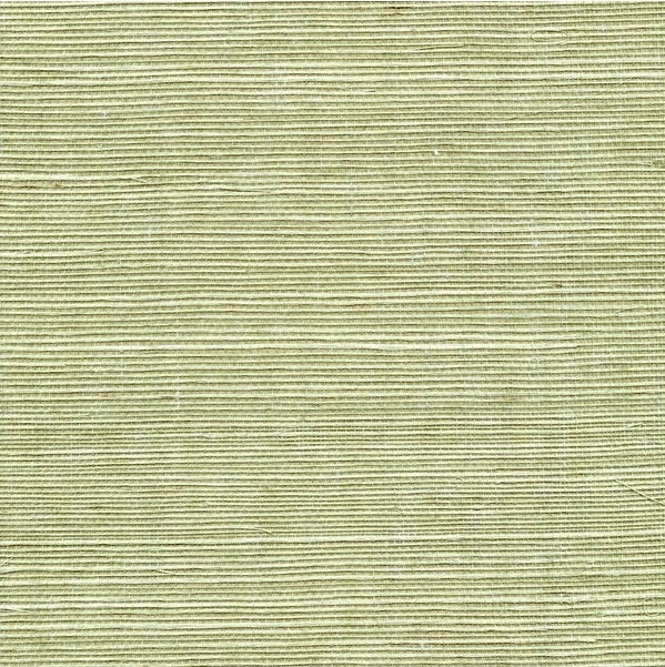 Sample WSS4531.WT.0 Sisal Fern Solid Winfield Thybony Wallpaper