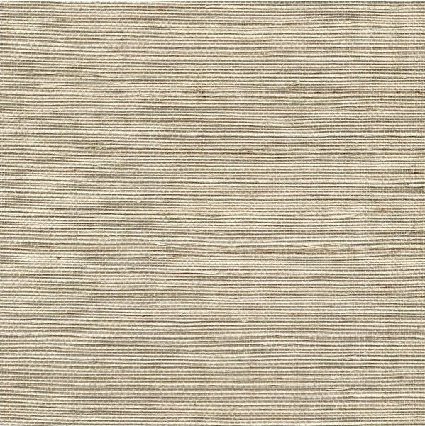 Sample WSS4553.WT.0 Sisal Sage Solid Winfield Thybony Wallpaper