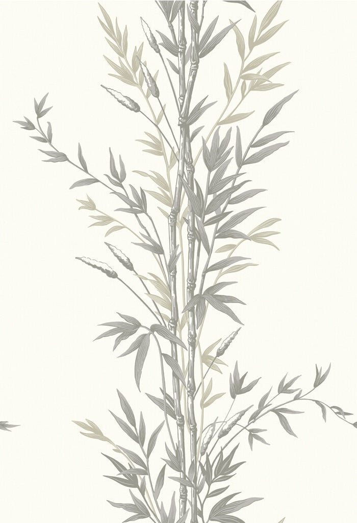 Find 100/5025 Cs Bamboo Charcoal By Cole and Son Wallpaper