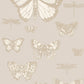 View 103/15064 Cs Butterflies And Dragonflies Grey By Cole and Son Wallpaper