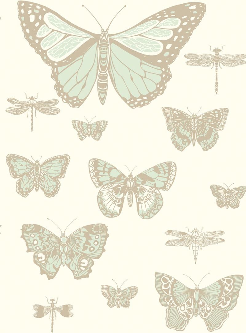Looking for 103/15065 Cs Butterflies And Dragonflies Duck Egg Ivry By Cole and Son Wallpaper