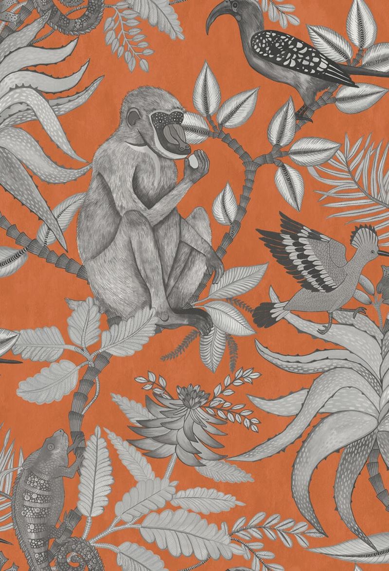Purchase 109/1001 Cs Savuti Orange By Cole and Son Wallpaper