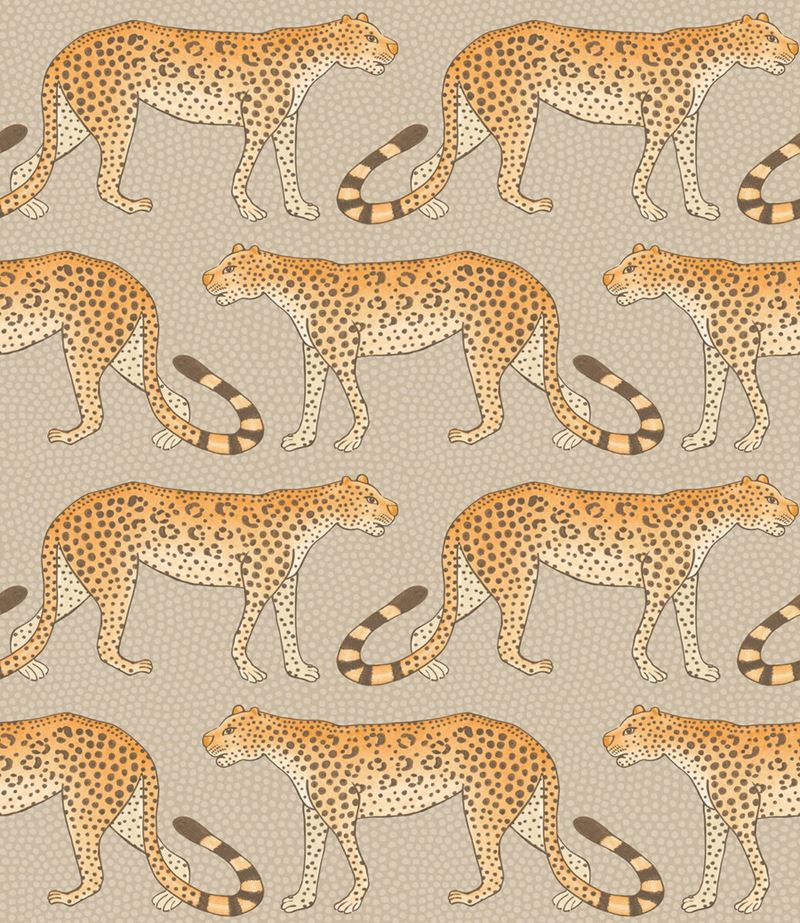 Purchase 109/2010 Cs Leopard Walk Stone And Orange By Cole and Son Wallpaper