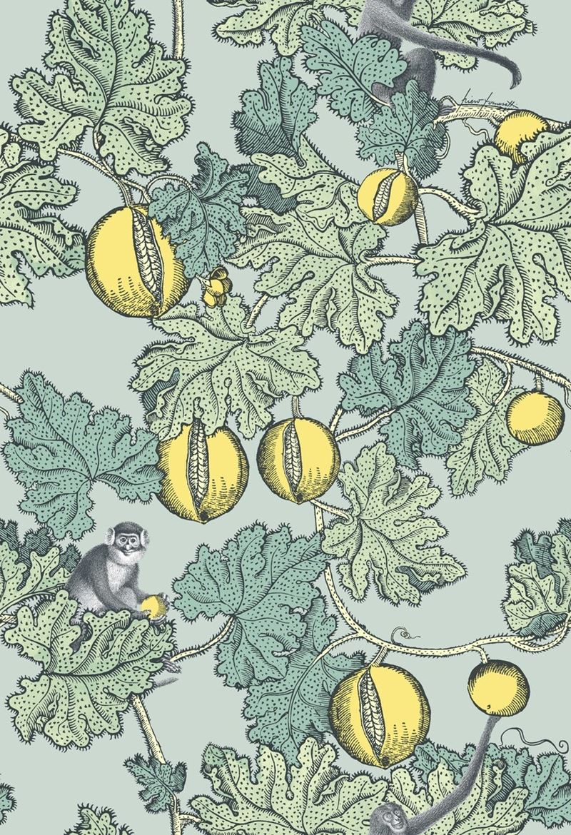 Purchase 114/1002 Cs Frutto Proibito Seafoam And Lemon By Cole and Son Wallpaper
