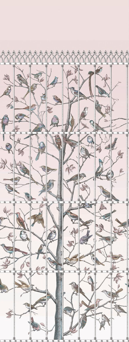 Save on 114/11022 Cs Uccelli Ballet Slipper By Cole and Son Wallpaper 2