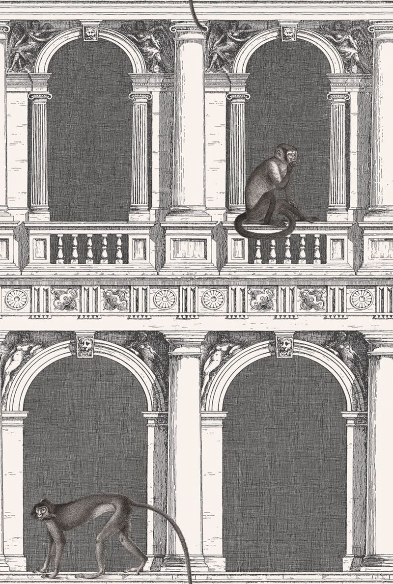 Save on 114/21041 Cs Procuratie E Scimmie B W By Cole and Son Wallpaper