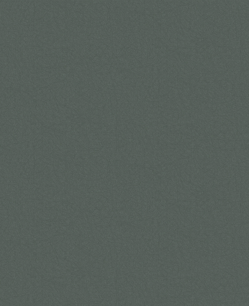 114187 - Graham & Brown, Luxury Sage Plain Removable Wallpaper