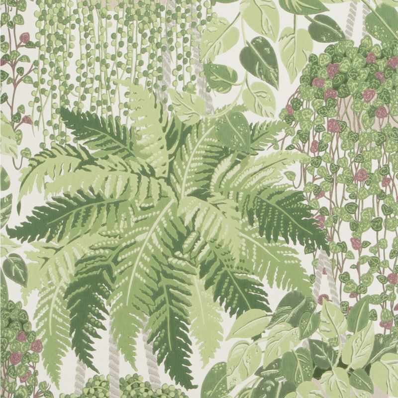 Purchase 115/7021 Cs Fern Leaf Green And Olive By Cole and Son Wallpaper