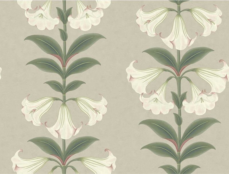 Acquire 117/3007 Cs Angels Trumpet Chalk And Sage On Stone By Cole and Son Wallpaper