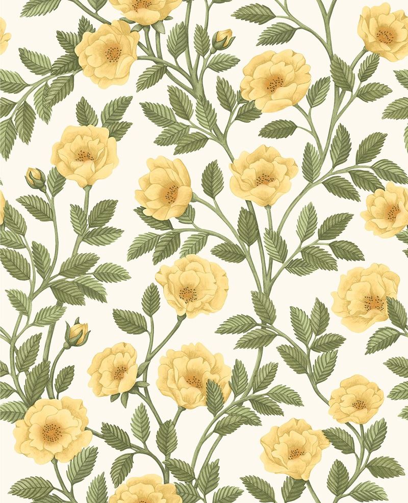 View 118/7015 Cs Hampton Roses Mrgandogrn Wh By Cole and Son Wallpaper