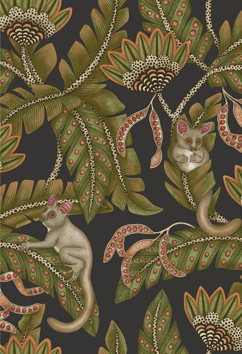 Buy 119/7031 Cs Bush Baby Spgrnandorng Blck By Cole and Son Wallpaper