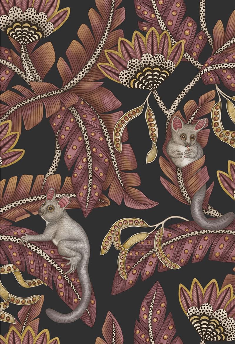 Looking for 119/7033 Cs Bush Baby Crmsnandmrgld Chrcl By Cole and Son Wallpaper