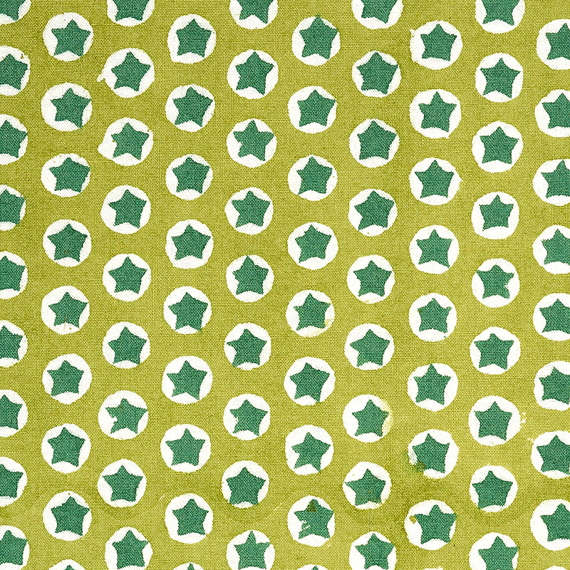179223 | Tuk Tuk, Green - Schumacher Fabric