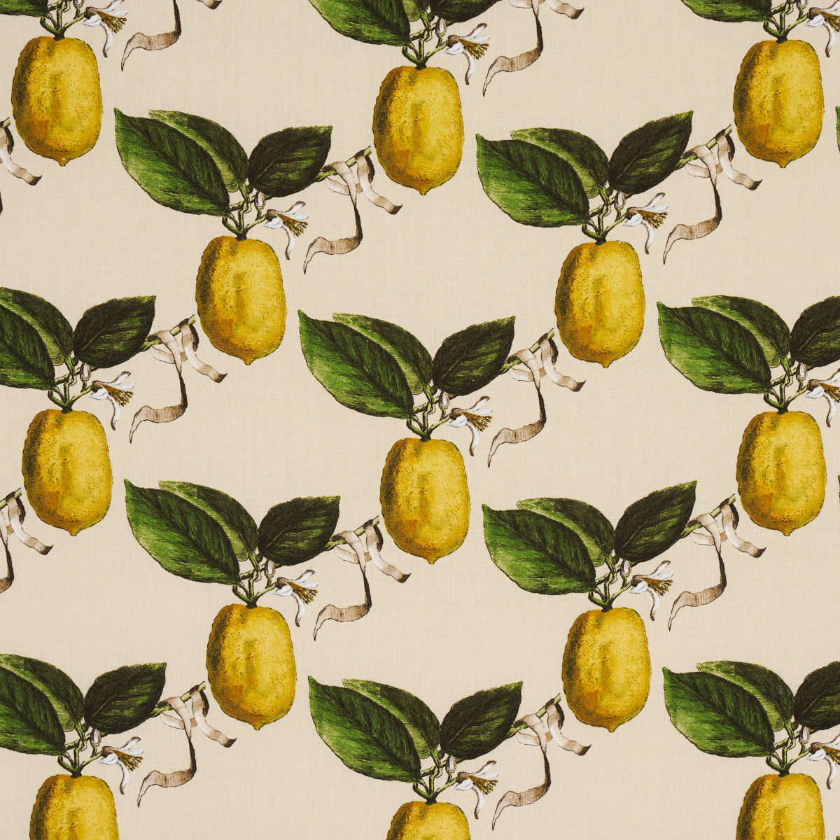 Purchase 180632 Le Citron, Natural by Schumacher Fabric