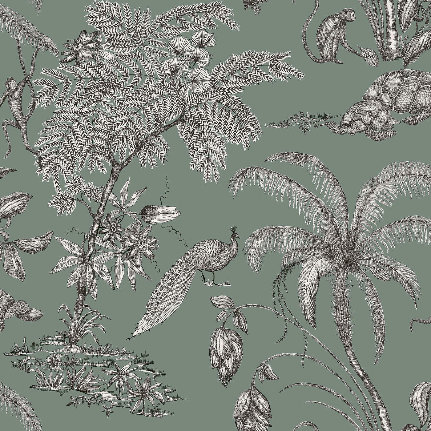 240-68 Moa juniper, Familj II by Sandberg Wallpaper