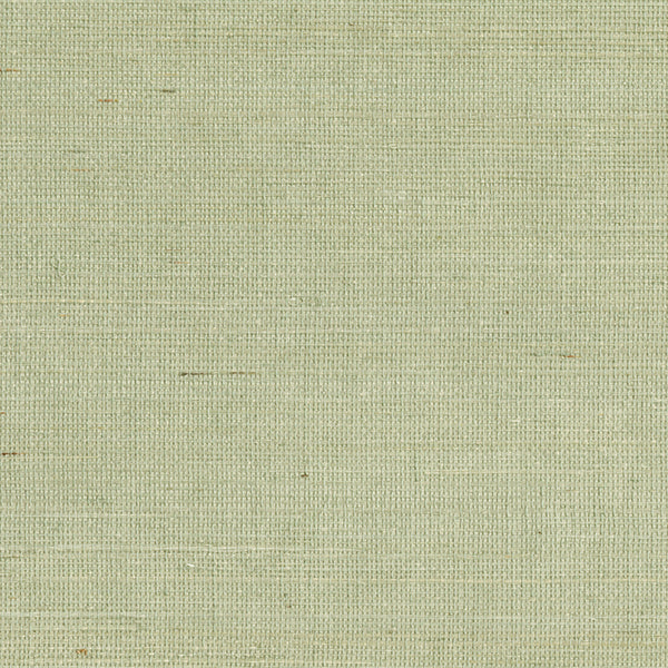 Shop 2693-65416 Zen Popun Light Green Grasscloth Kenneth James Wallpaper