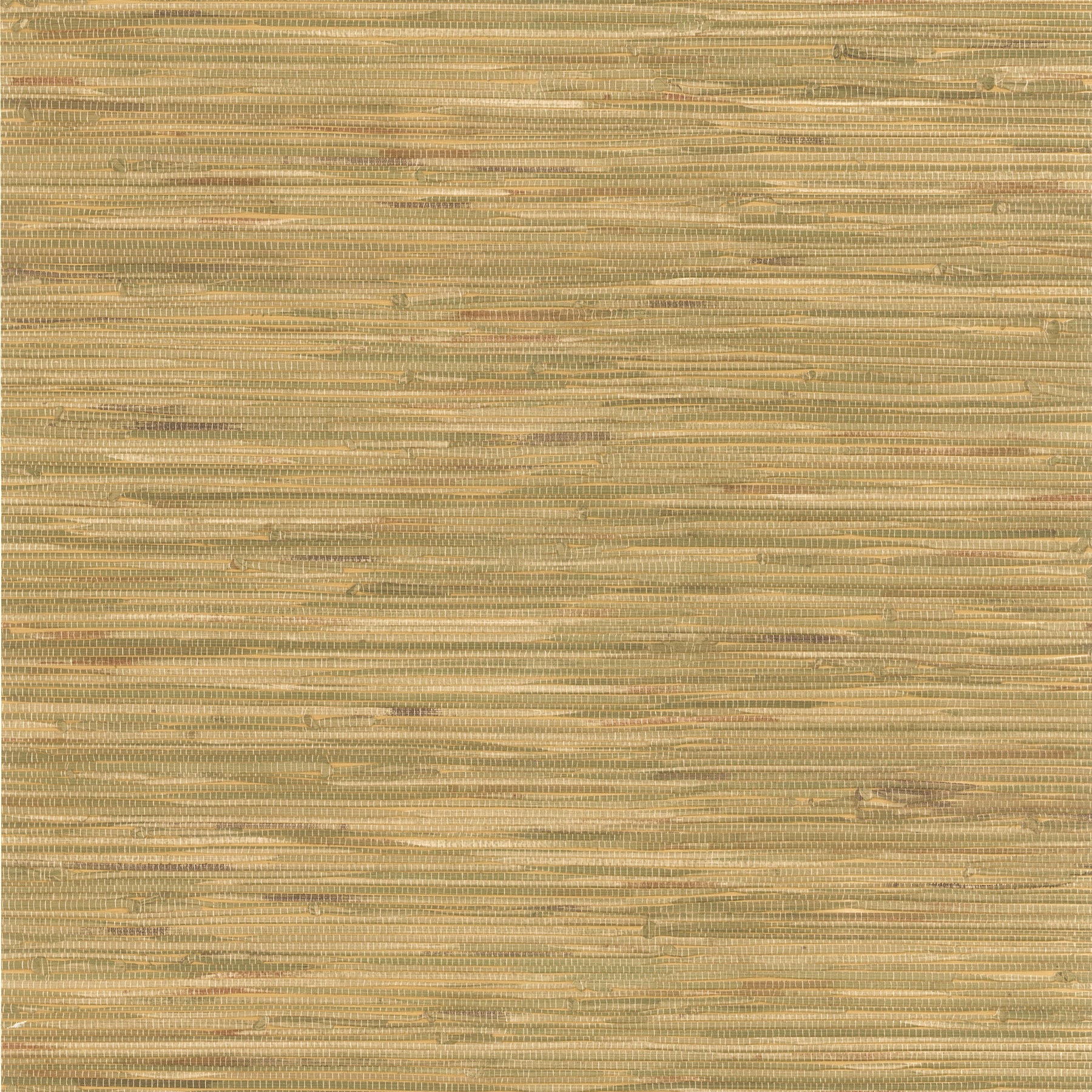 Purchase 2767-44140 Cate Light Green Vinyl Grasscloth Techniques & Finishes III Brewster