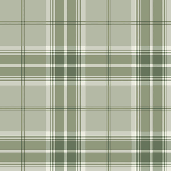 Purchase 2980-92122 Advantage Wallpaper, Sala Green Plaid - Splash
