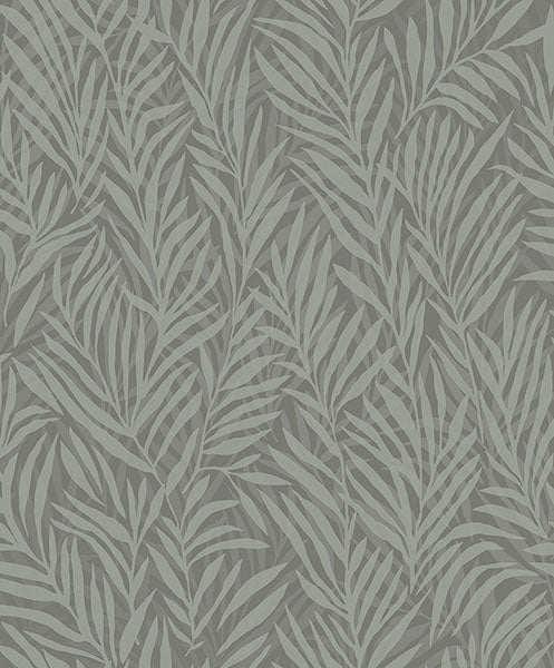 Purchase 2980-M52504 Advantage Wallpaper, Holzer Dark Green Fern - Splash