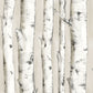 Order 3118-12601 Birch & Sparrow Pioneer Birch Tree Off-White by Chesapeake Wallpaper