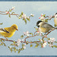 Looking 3118-48511B Birch & Sparrow Songbird Floral Trail Multicolor by Chesapeake Wallpaper