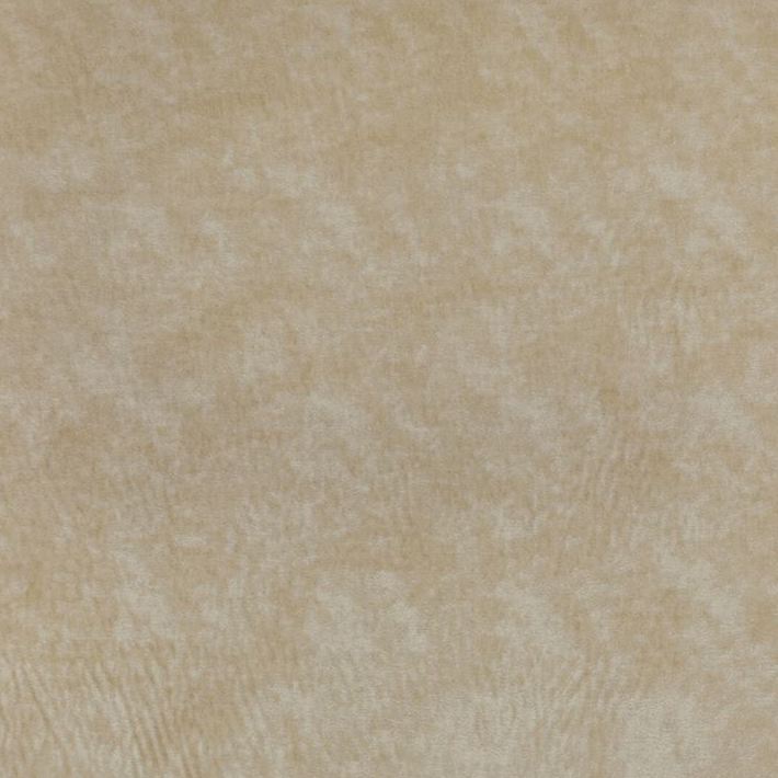Acquire 36065.116.0 TRIUMPHANT CREME by Kravet Couture Fabric