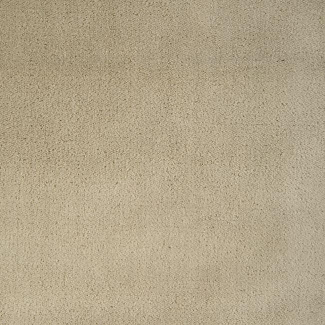 Purchase 36543.1116.0 Fomo, - Kravet Contract Fabric