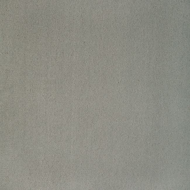 Purchase 36543.1121.0 Fomo, - Kravet Contract Fabric
