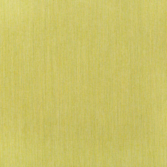 Purchase 36820.23.0 Kravet Basics, Indoor / Outdoor - Kravet Basics Fabric