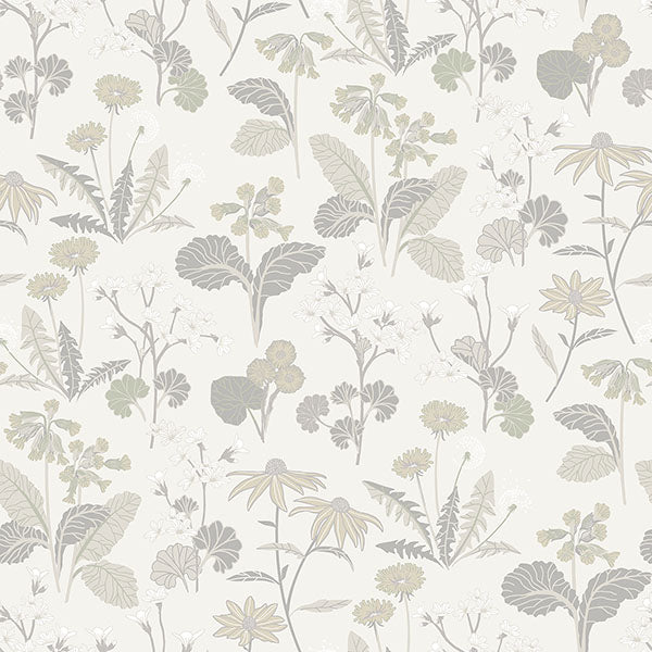 Purchase sample of 4080-92136 Ingrid, Magdalena Light Grey Dandelion Off White Taupe by A-Street Prints Wallpaper