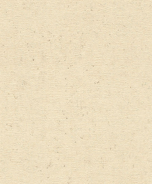 Purchase 4096-520842 Advantage Wallpaper, Cain Wheat Rice Texture - Concrete