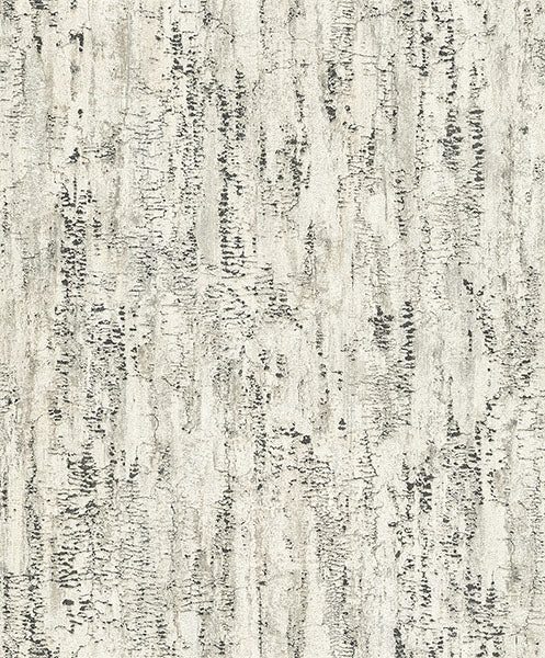 Purchase 4096-554045 Advantage Wallpaper, Colm Charcoal Birch - Concrete
