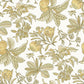 Purchase 4120-26813 A-Street Wallpaper, Cecilia Honey Fruit - Middleton