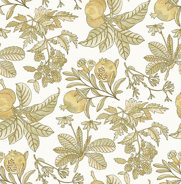 Purchase 4120-26813 A-Street Wallpaper, Cecilia Honey Fruit - Middleton