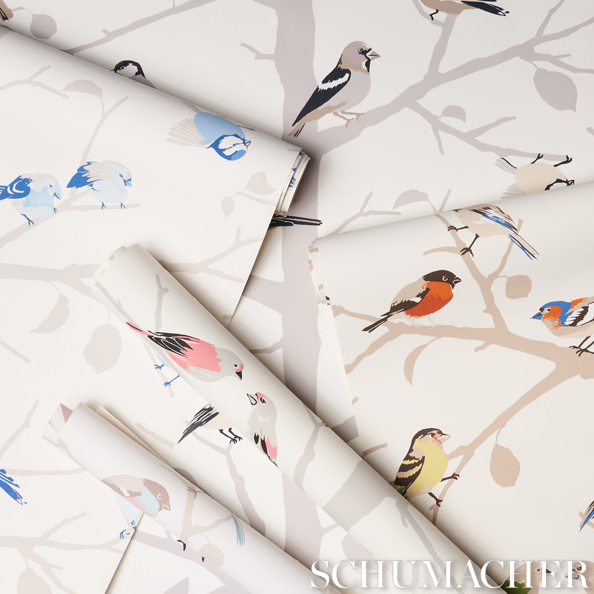 Purchase 5005034 | A-Twitter, Blues - Schumacher Wallpaper