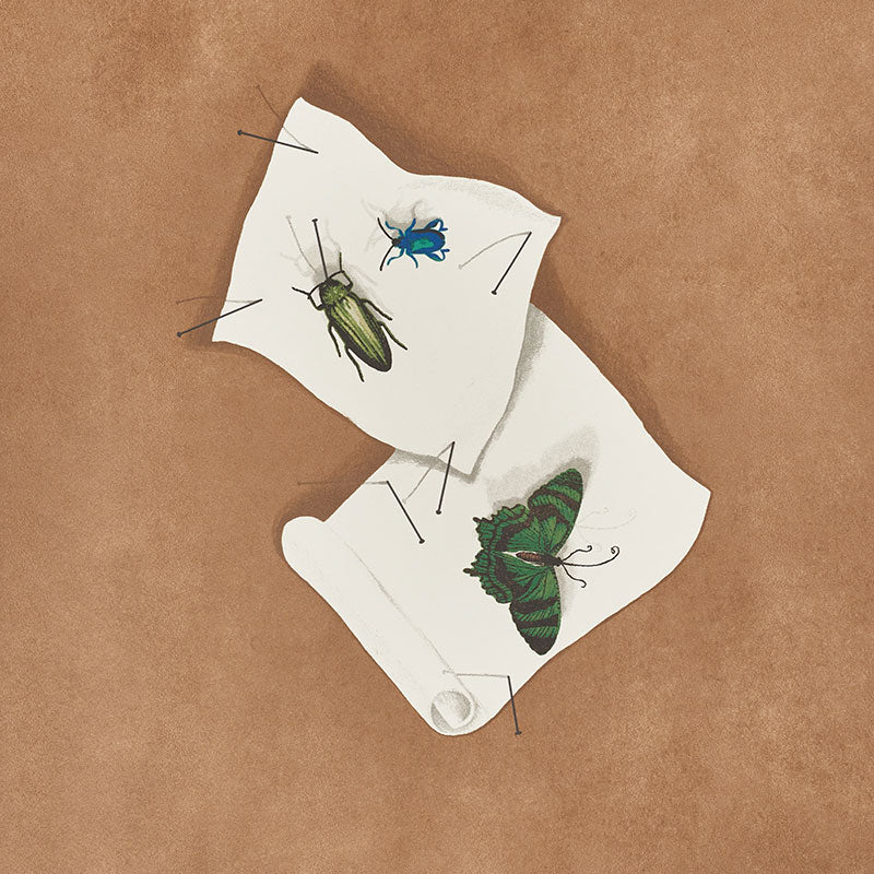 Buy 5009340 Diana Multi by Schumacher Wallpaper