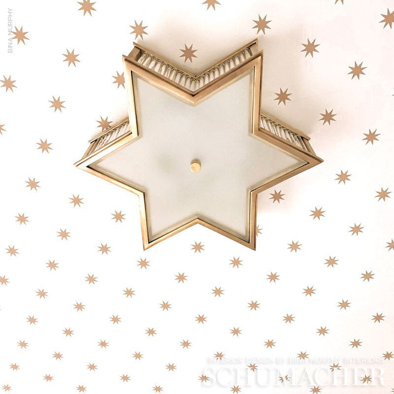 Looking for 5009600 Stargaze Bronze by Schumacher Wallpaper