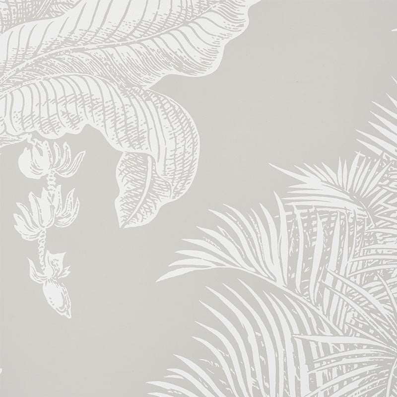 Find 5009622 Grand Palms Dove by Schumacher Wallpaper