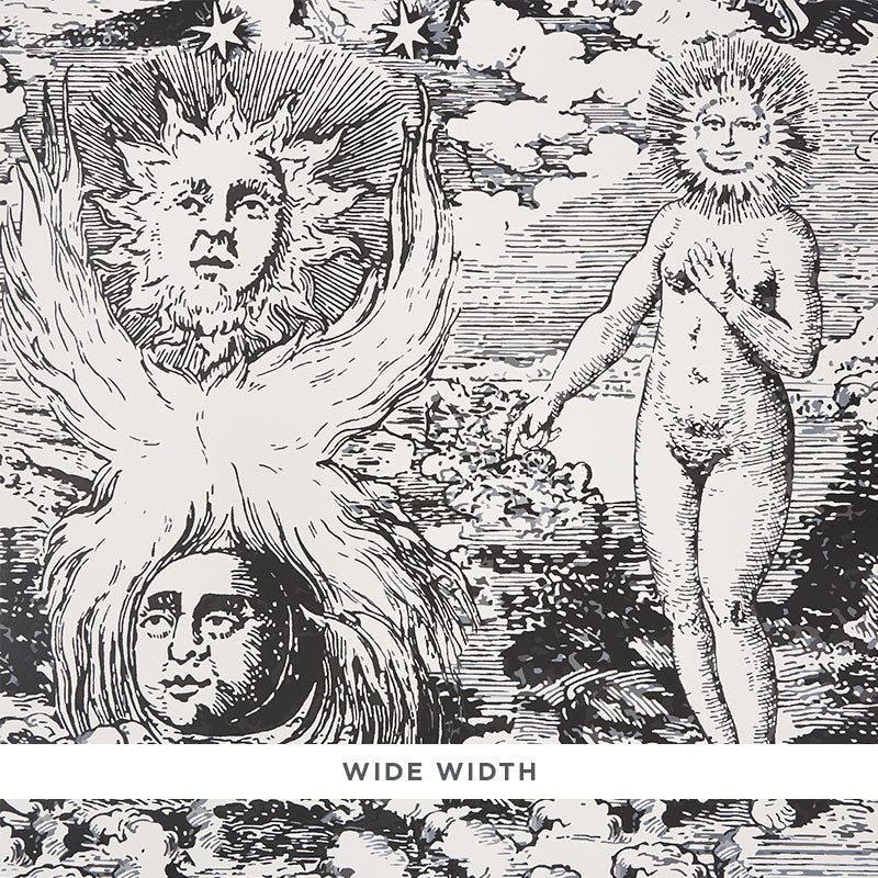 View 5010420 Modern Toile Black Schumacher Wallpaper