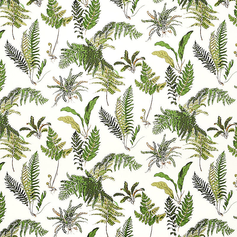 View 5010660 Les Fougeres Document Schumacher Wallpaper