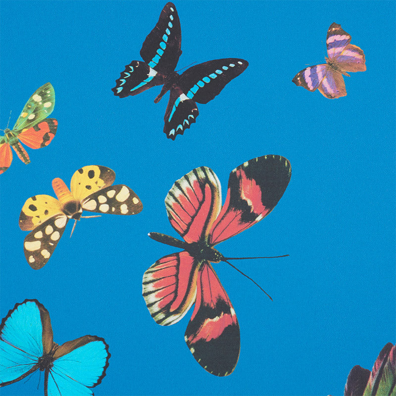 View 5010861 Queen'S Flight Royal Blue Schumacher Wallpaper