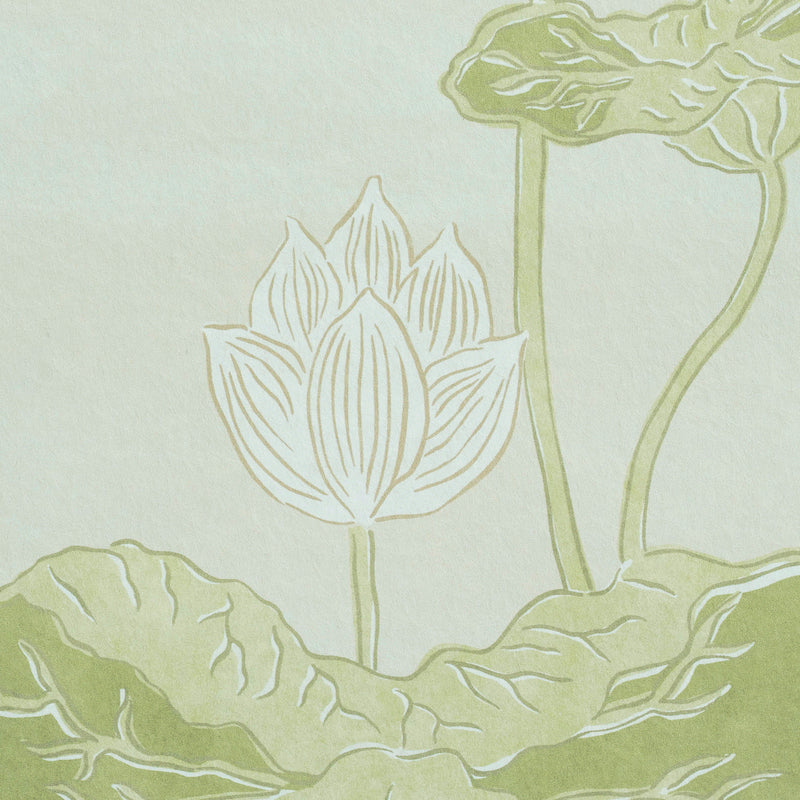 View 5011691 Kireina Lotus White Ivory Schumacher Wallpaper