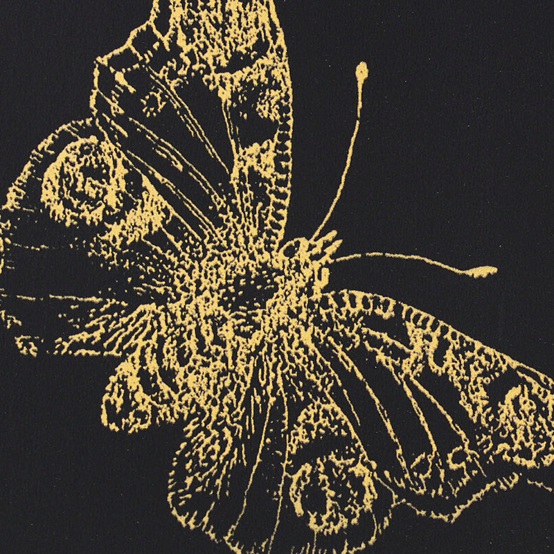 Find 5011742 Burnell Butterfly Black Schumacher Wallpaper