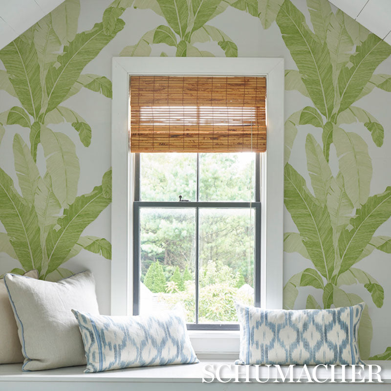Find 5012110 Erisimo Leaf Schumacher Wallpaper