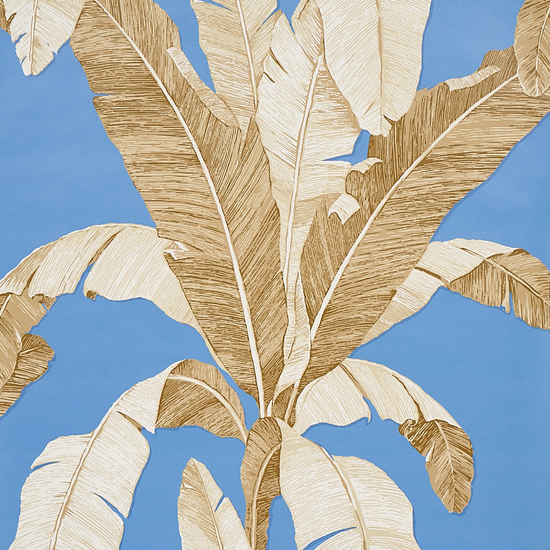 Acquire 5012112 Erisimo Blue Schumacher Wallpaper