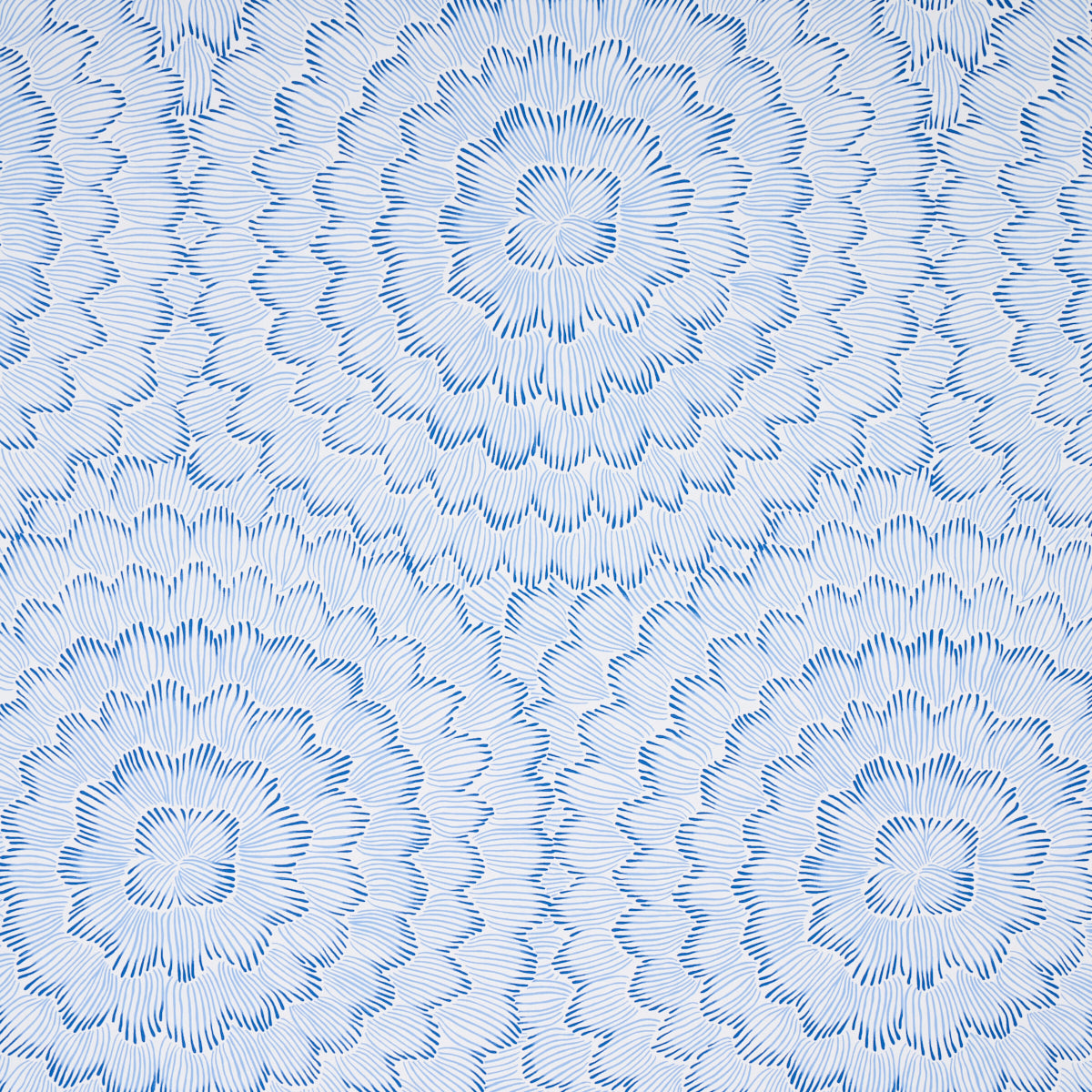 Purchase 5013820 | Feather Bloom, Blue - Schumacher Wallpaper