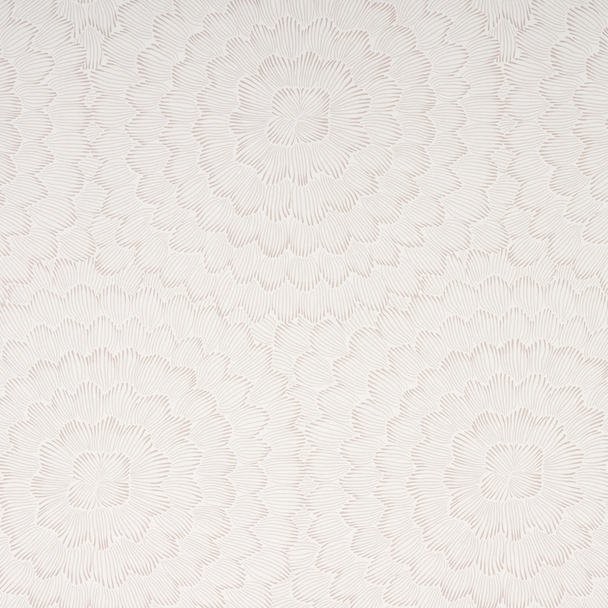 Purchase 5013821 Feather Bloom, Soft Neutral by Wallpaper