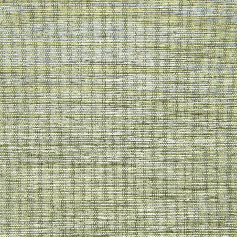 Looking for 529631 Osan Sisal Aqua by Schumacher Wallpaper